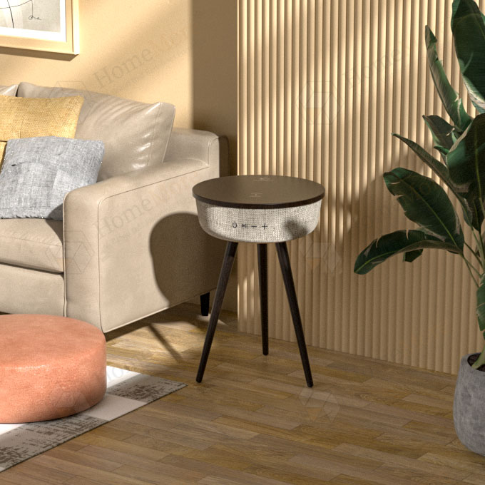 CLASSIC SIDE TABLE SPEAKER COFFEE TABLE (4)